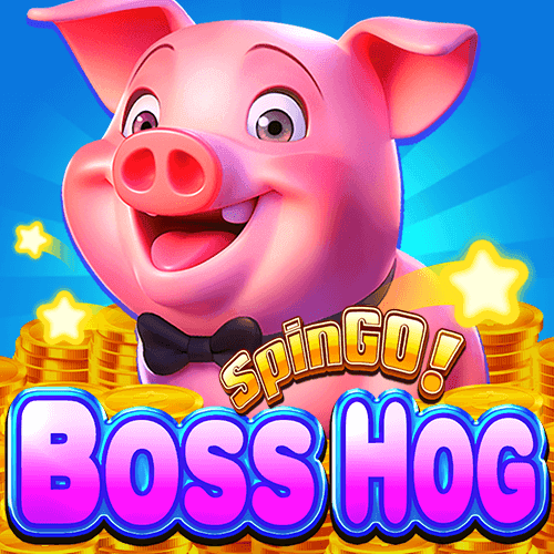 Patron Domuz SpinGO!